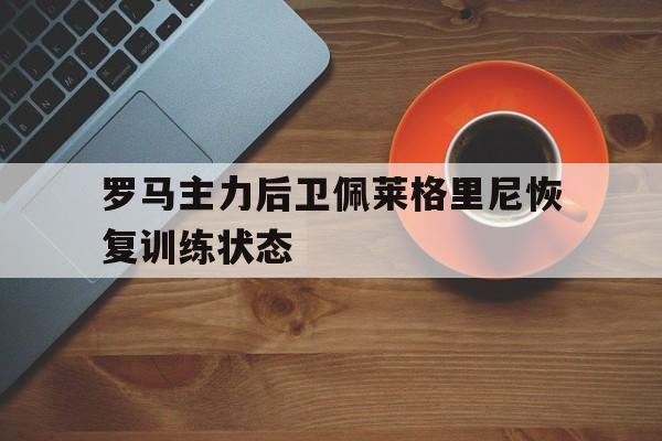 电子竞技综合app-罗马主力后卫佩莱格里尼恢复训练状态