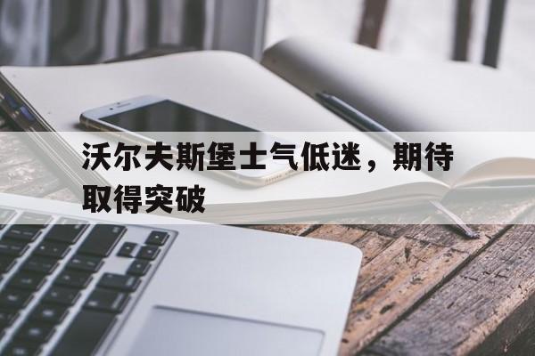 电子竞技下载入口-沃尔夫斯堡士气低迷，期待取得突破